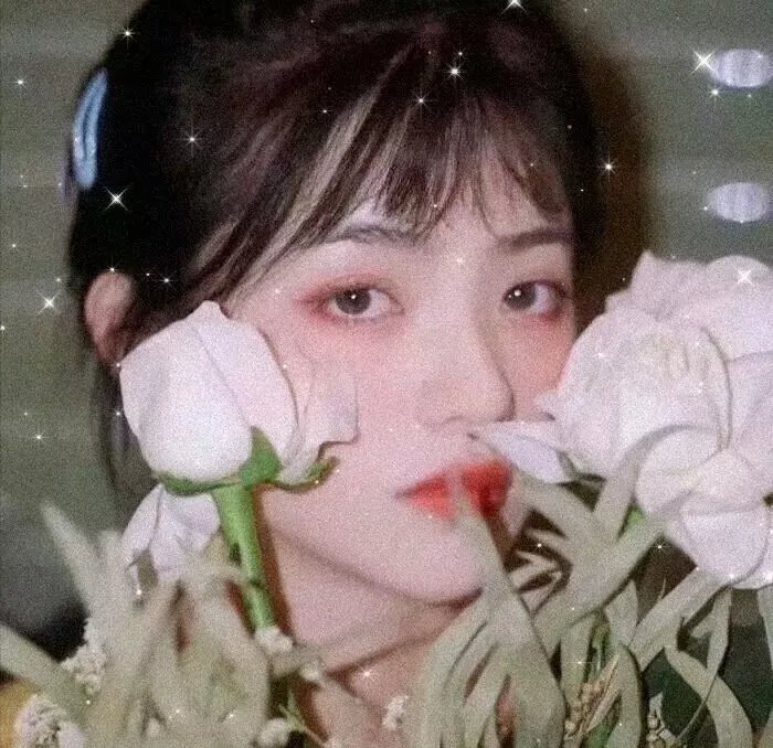 主演