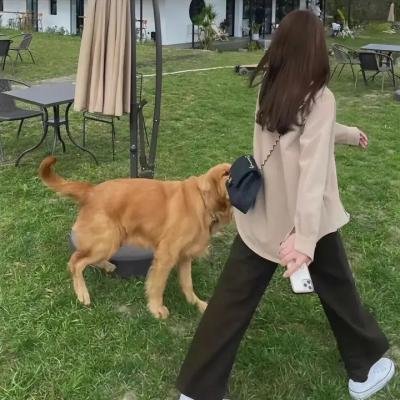 藤本树
